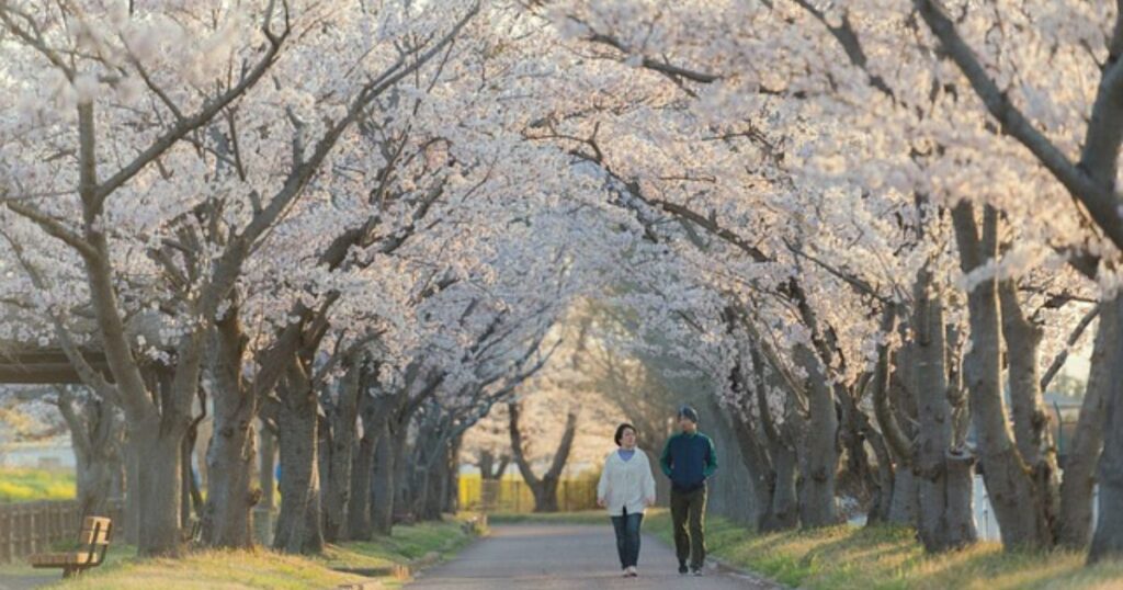 3月の気温と注意点