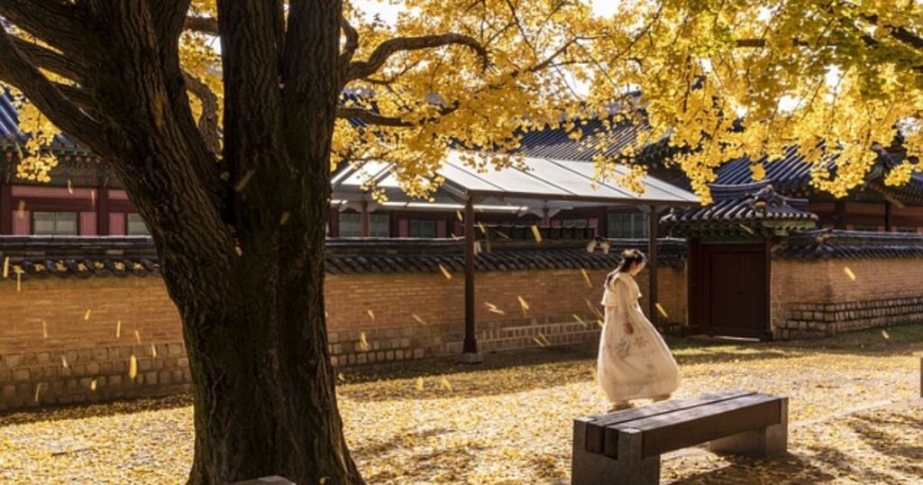 韓国旅行に行く年齢層は？