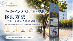 ドーミーインソウル江南と空港の移動方法｜仁川・金浦から徹底解説